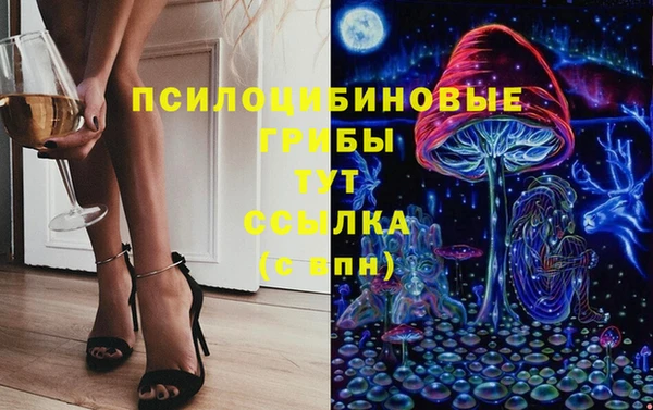 spice Алзамай