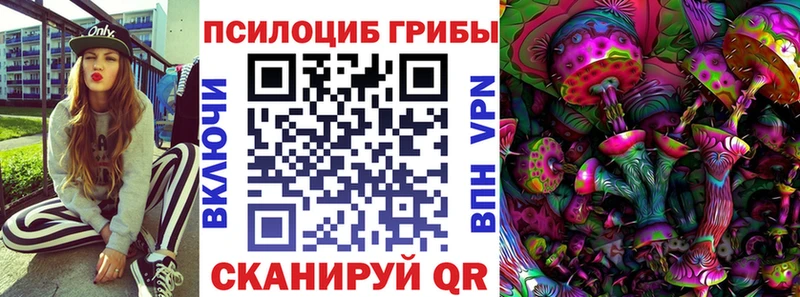 Галлюциногенные грибы MAGIC MUSHROOMS  как найти   Чебоксары 
