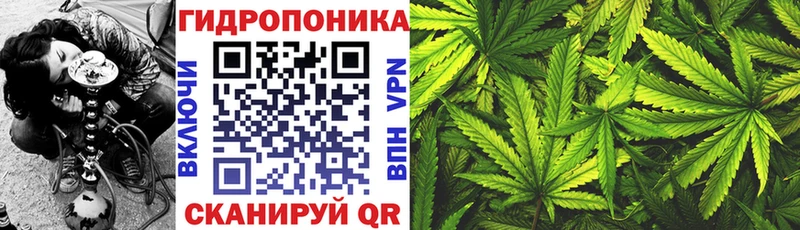 Конопля LSD WEED Чебоксары